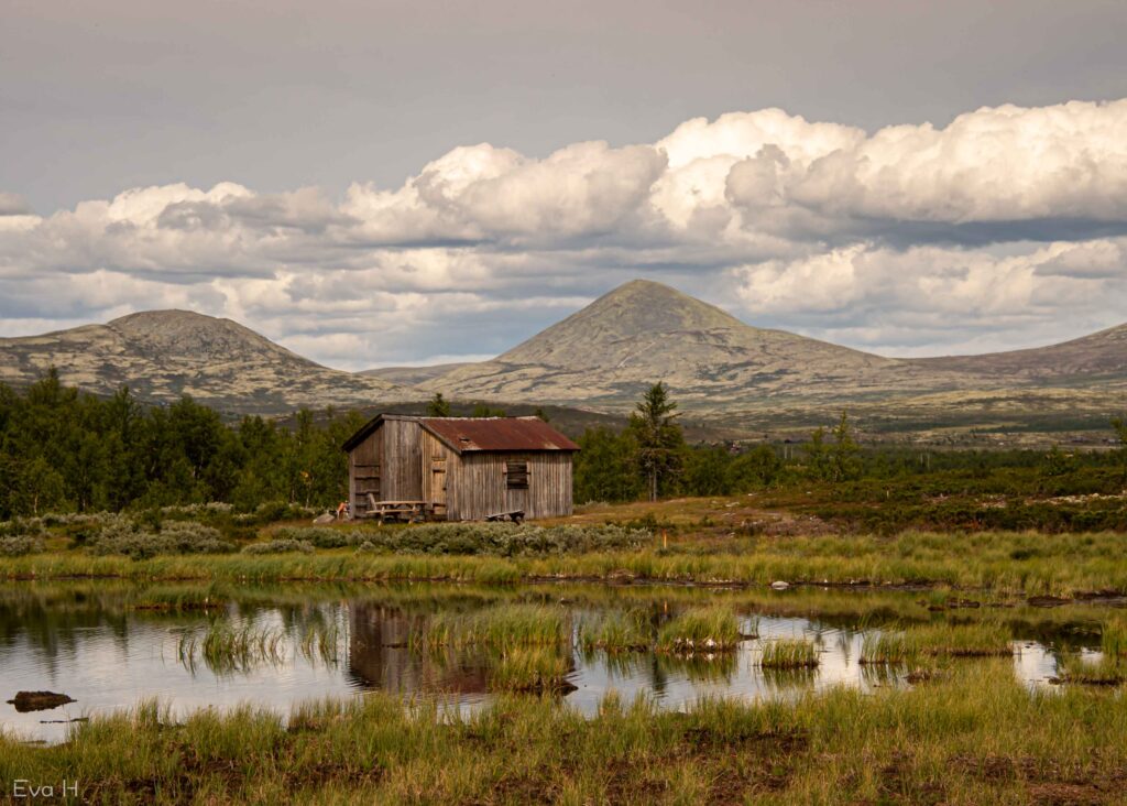 Myrvann og hytte med snaufjell i bakgrunnen. Fargebilde. Fotografi.