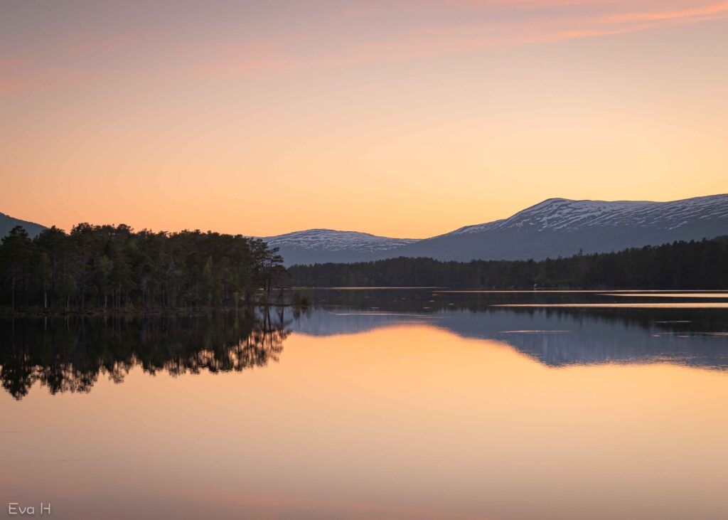 Orange solnedgang over Lesjaskogsvatnet en stille sommerkveld. Fargebilde. Fotografi.
