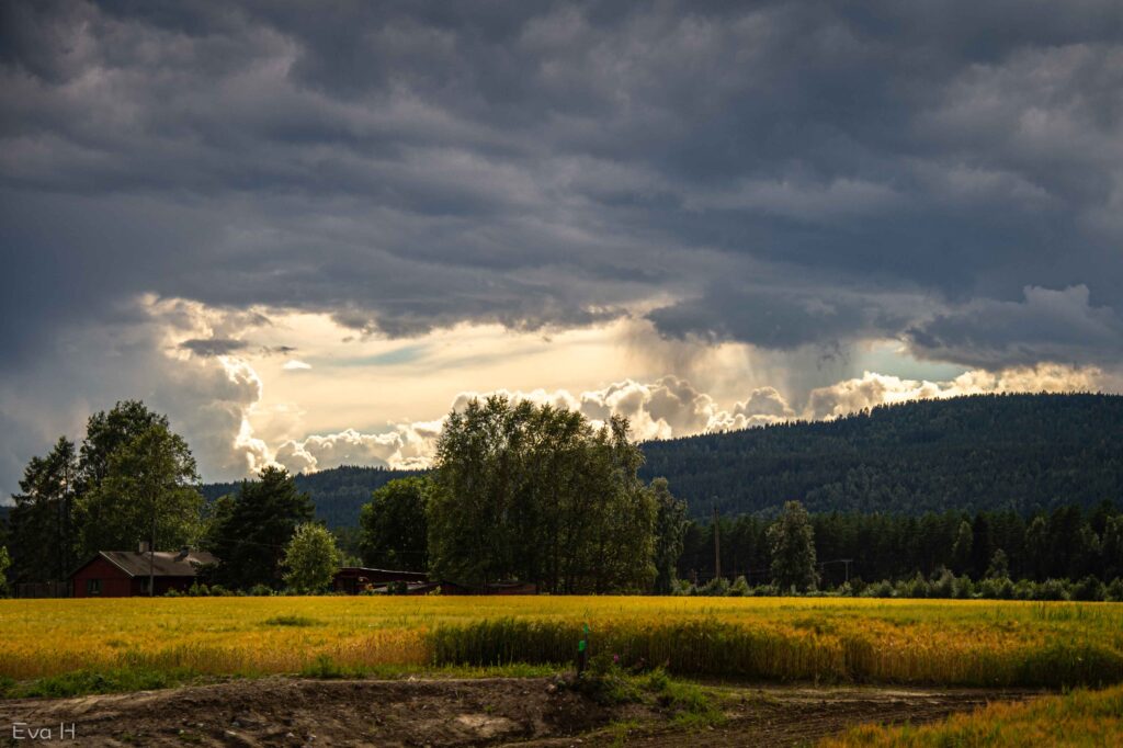 Lyset slipper gjennom tordenskyene et sted nær Kongsvinger. fargebilde. Fotografi.