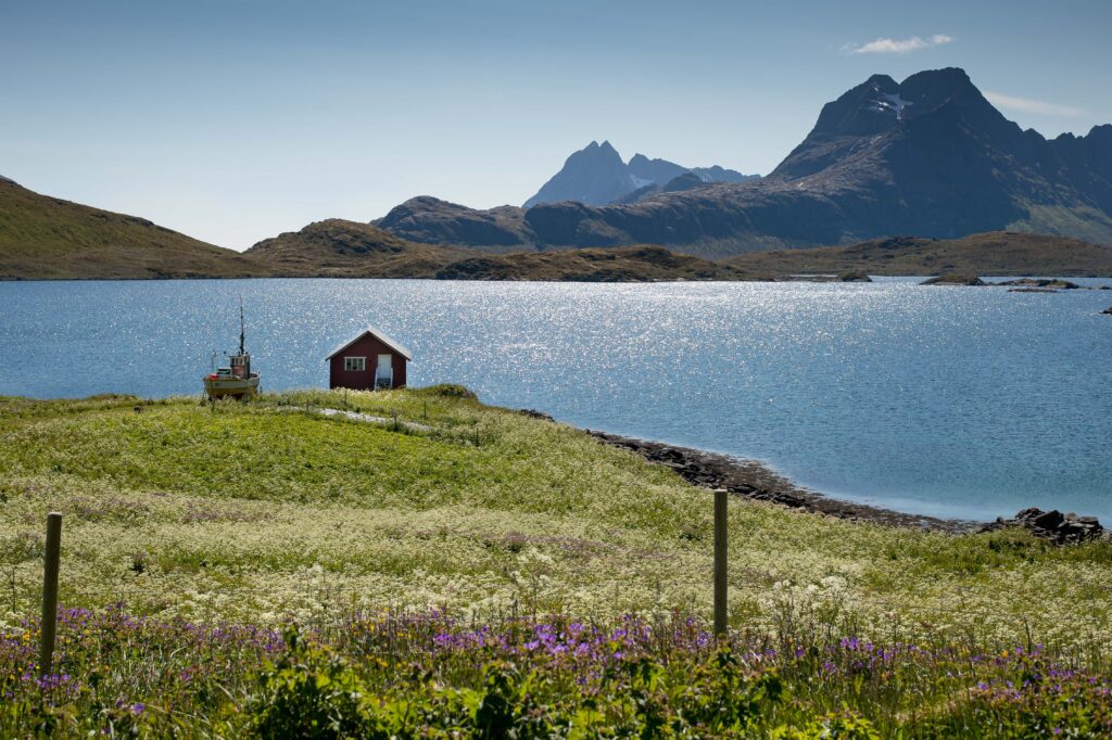 Idyllisk sommerdag i Lofoten. Lenke til flere Nord-Norge-bilder. Fargebilde. Fotografi.