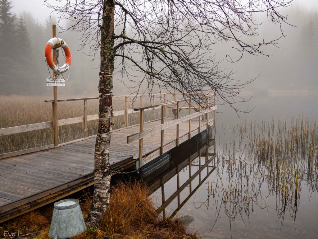 Tåke over tjernet i Mistberget en høstdag. Fargebilde. Fotografi.