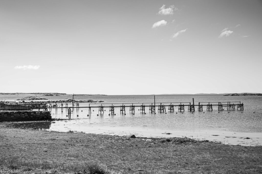 Sort/hvitt fotografi av brygge som strekker seg langt ut i fjorden. Åpent kystlandskap ved Oslofjorden