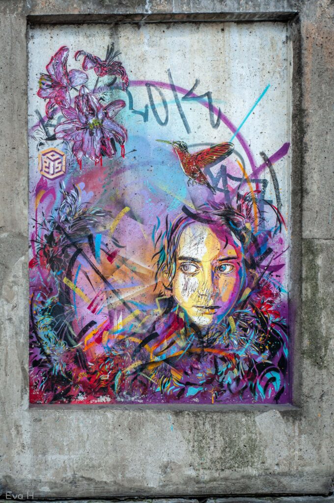 Ungdom stikker hodet fram, omkranset av lilla, rødt, kolibri og blomster. Malt på betong. Gatekunst. Fotografi