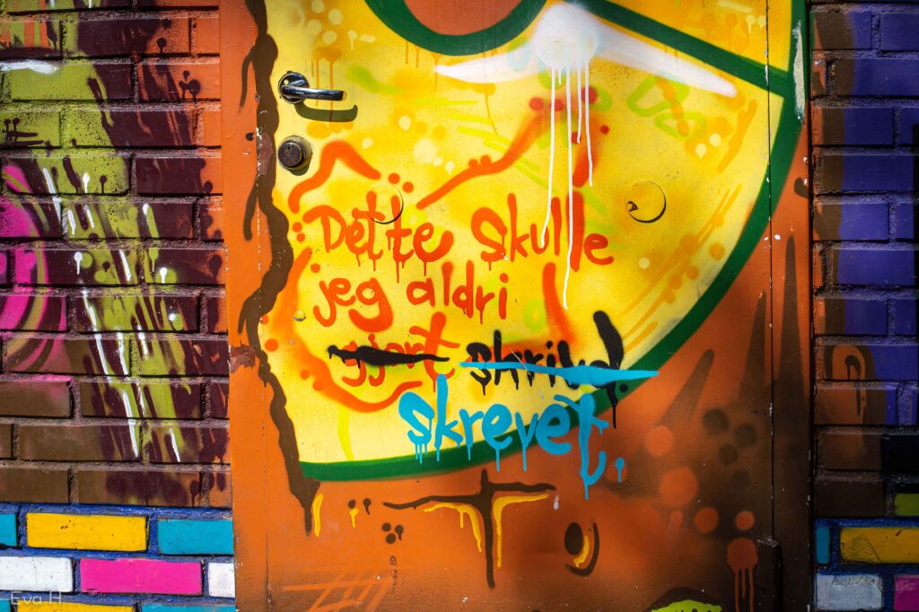Tekst på veggen: Dette skulle jeg aldri gjort skrivd skrevet. Fotografi av gatekunst