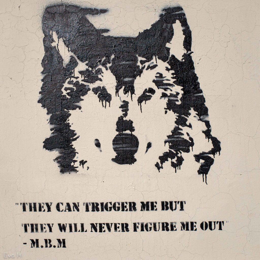 Sjablongmalt ulvehode. Tekst: They can trigger me but they will never figure me out. Fotografi av gatekunst.
