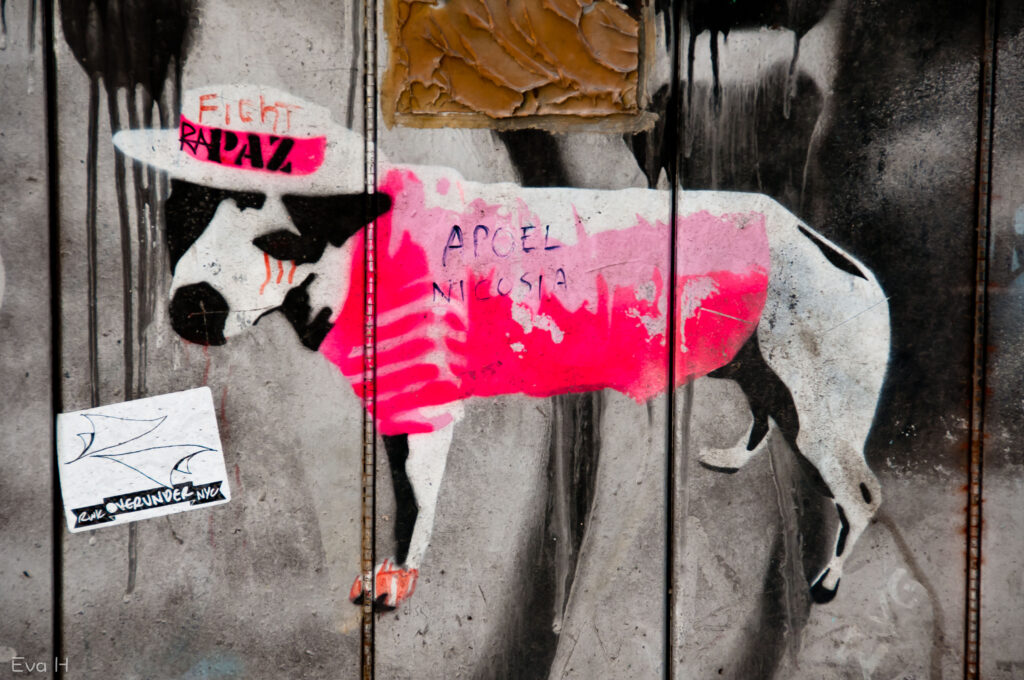 Hund med hatt, rosa hattebånd, rosa dekken. Ellers sort, hvitt og betong. Fotografi av gatekunst