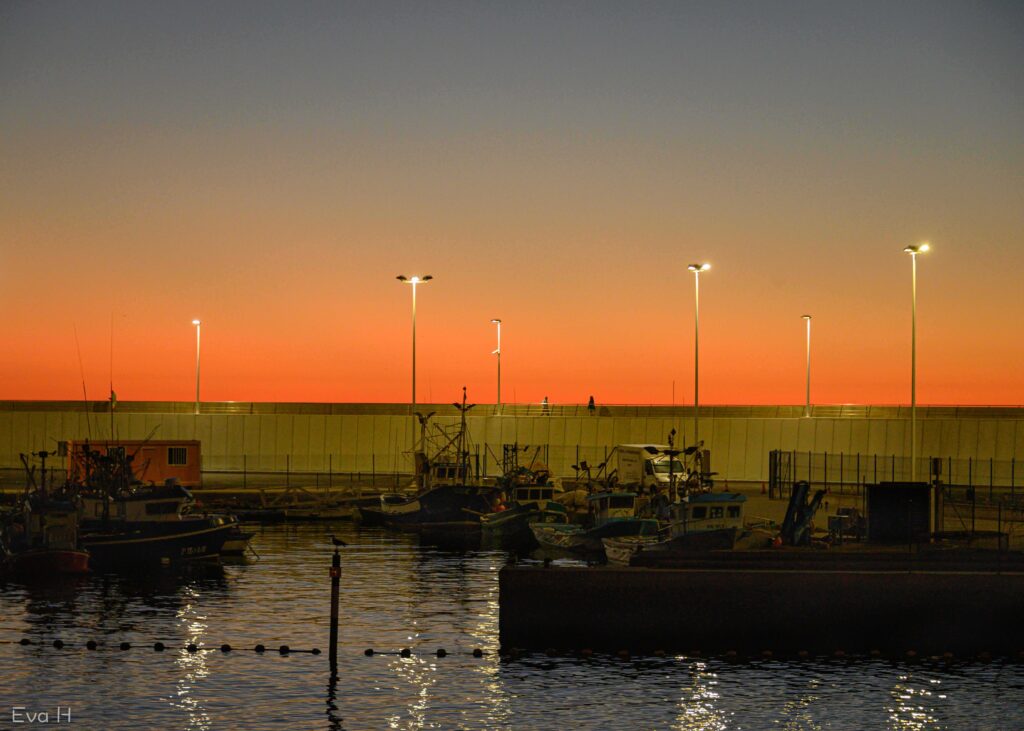 Solnedgang over fisekbåt-havn- fargefoto